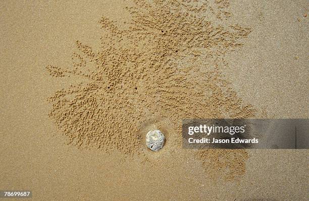 mission beach, queensland, australia. - mission beach queensland stock pictures, royalty-free photos & images