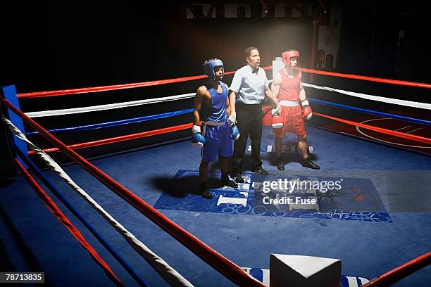 7 704 Referee Box Stock Photos, High-Res Pictures, and Images - Getty ...