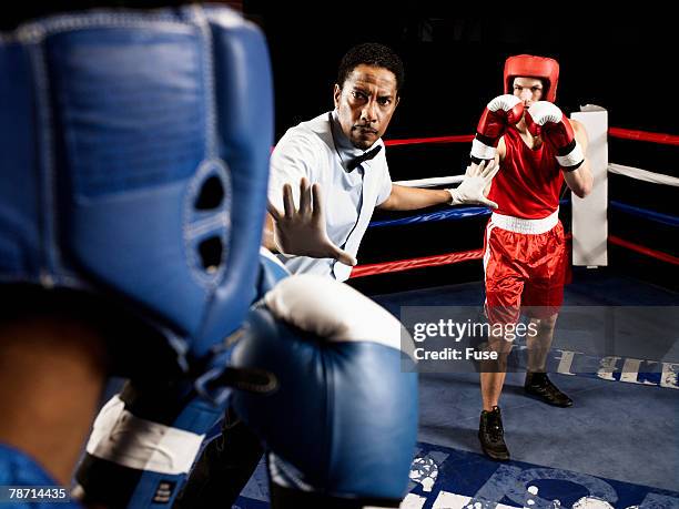 7 704 Referee Box Stock Photos, High-Res Pictures, and Images - Getty ...