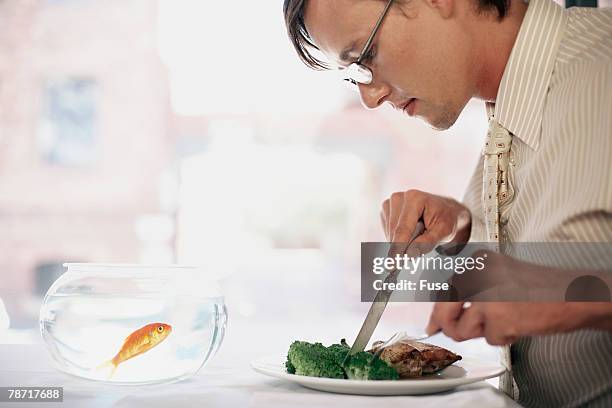 man eating in front of goldfish - cipriniformi foto e immagini stock