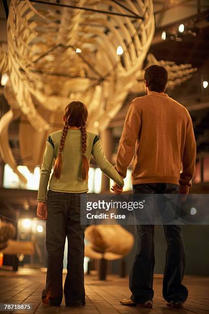 father and daughter enjoying a museum exhibit - natural history museum stock pictures, royalty-free photos & images