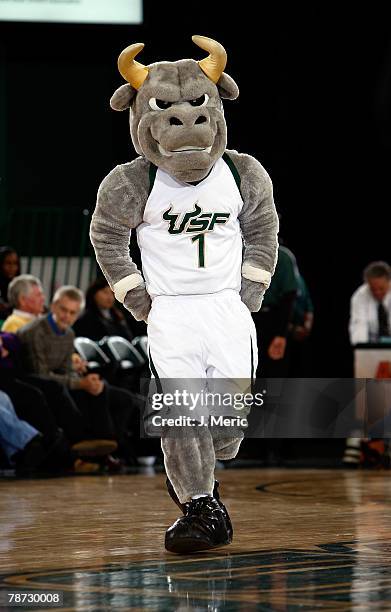 South Florida Bulls mascot Rocky performs during the game against the Rutgers Scarlet Knights on January 2, 2008 at the Sundome in Tampa, Florida.