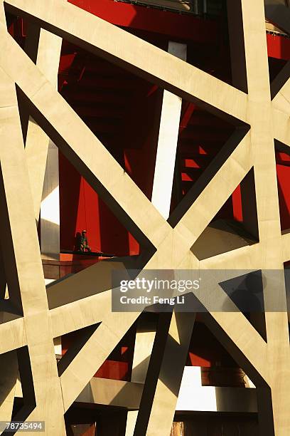 Worker stands at the construction site for the National Stadium, the main stadium of Beijing Olympic Games, is seen on January 3, 2008 in Beijing,...