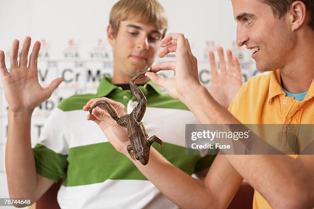 science students inspecting a frog - frog dissection stock pictures, royalty-free photos & images