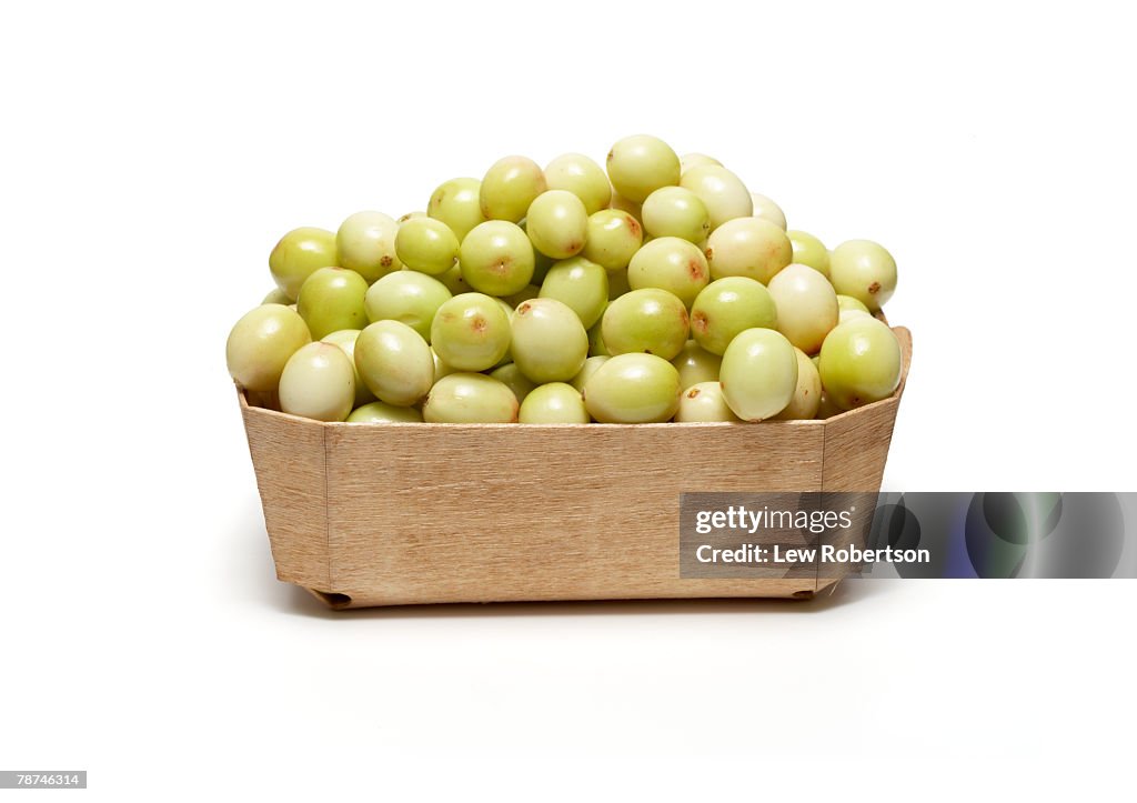 Basket of Unripe Cranberries