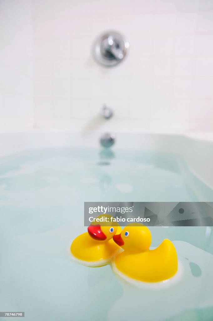 Rubber Ducks in the Bathtub