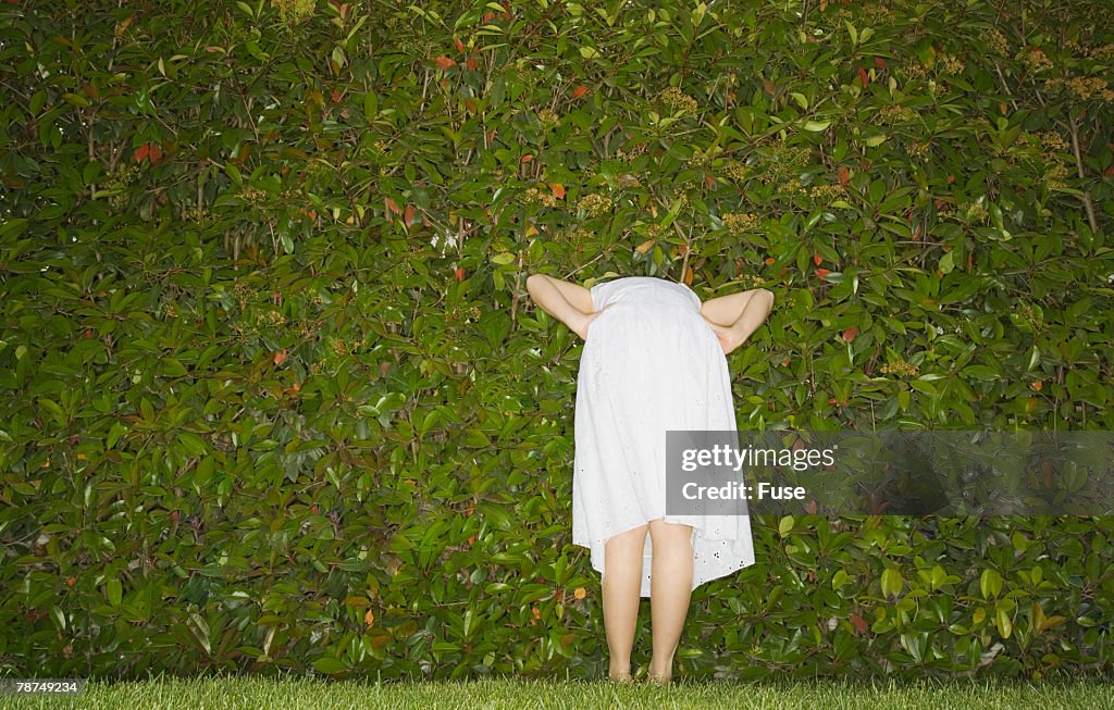 Woman Looking Through Her Hedge