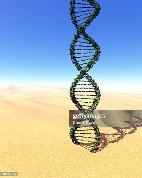 20 Biogenetics Stock Photos, High-Res Pictures, and Images - Getty Images