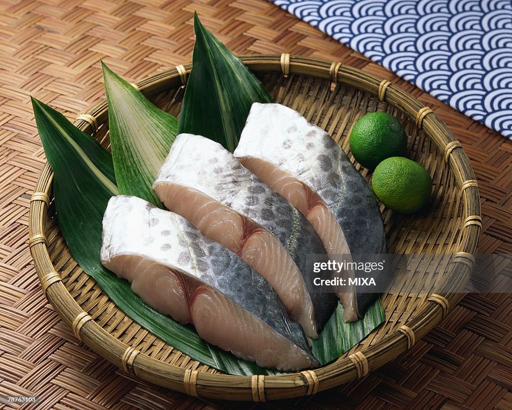 Japanese Spanish Mackerel