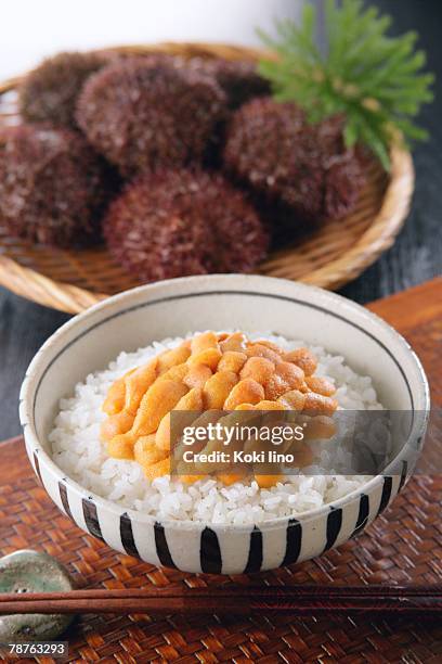 sea urchin on rice in bowl - sea urchin ストックフォトと画像