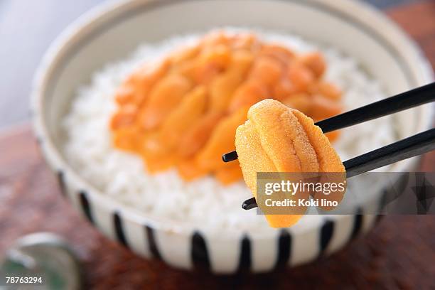 sea urchin on rice in bowl - sea urchin ストックフォトと画像