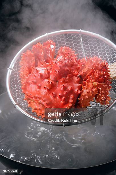 boiled hanasaki crab - straining spoon stock pictures, royalty-free photos & images