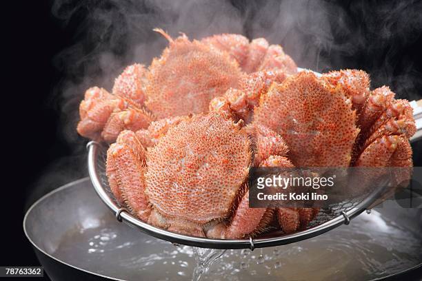 boiled horsehair crabs - straining spoon stock pictures, royalty-free photos & images