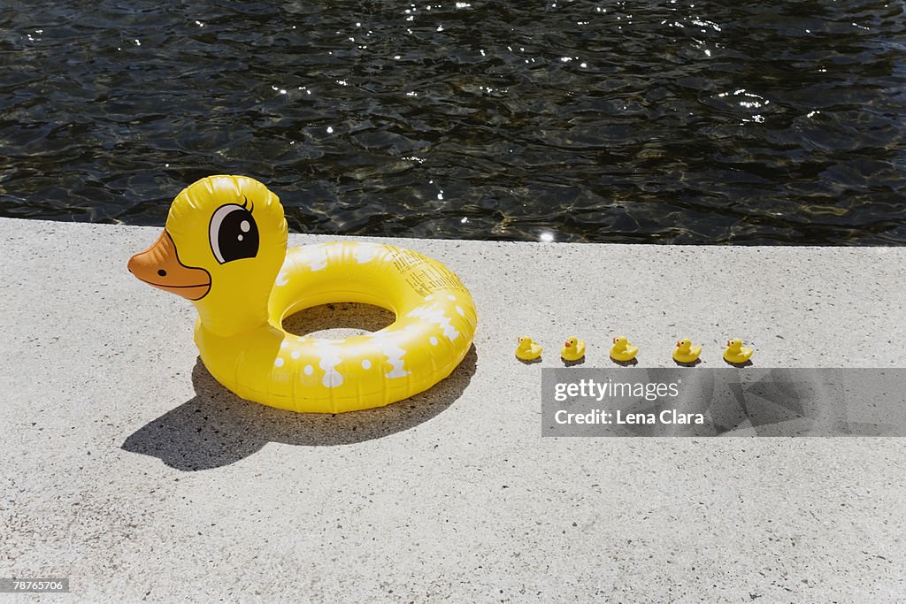 A family of inflatable ducks