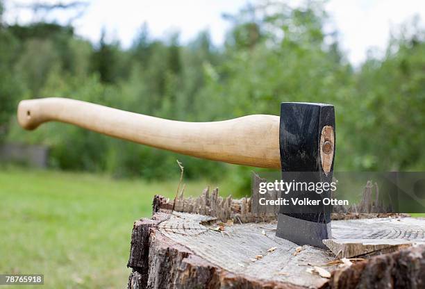 an axe wedged into a tree stump - hacha pequeña fotografías e imágenes de stock