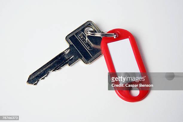 a key and a key ring - llavero fotografías e imágenes de stock
