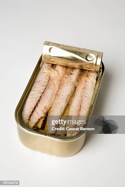 a can of sardines - sardine can fotografías e imágenes de stock
