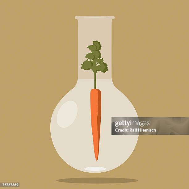a carrot inside a test tube - genetically modified stock illustrations