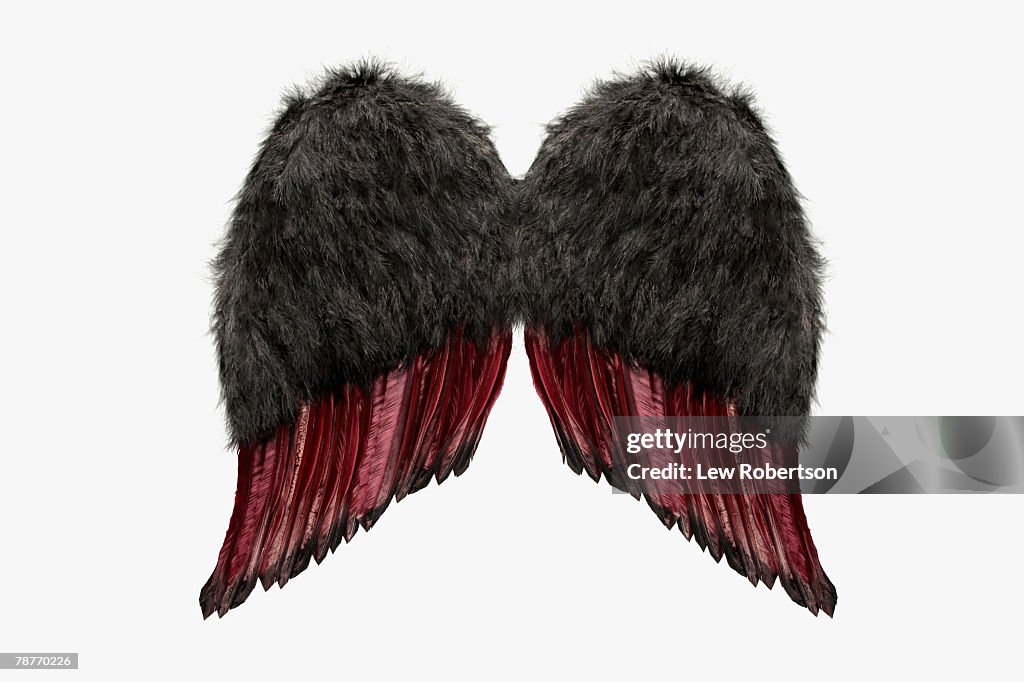 Pair of Artificial Wings