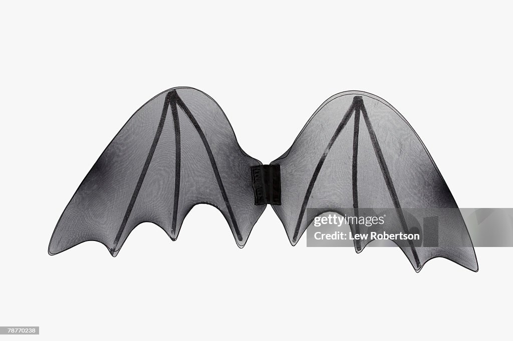 Pair of Artificial Wings