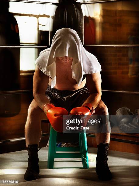 Overprotected Boxer 714 Boxer Cross Stock Photos, High-Res Pictures, and Images - Getty Images