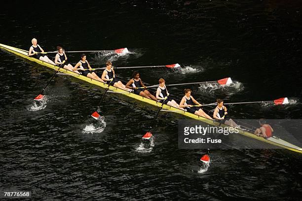 boat race - crew rowing stock pictures, royalty-free photos & images