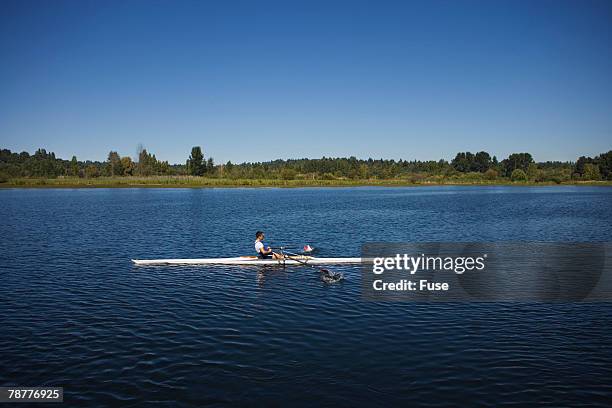 man rowing - single scull stockfoto's en -beelden