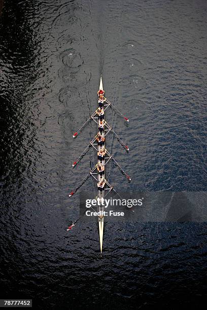 boat race - rowing team stock pictures, royalty-free photos & images