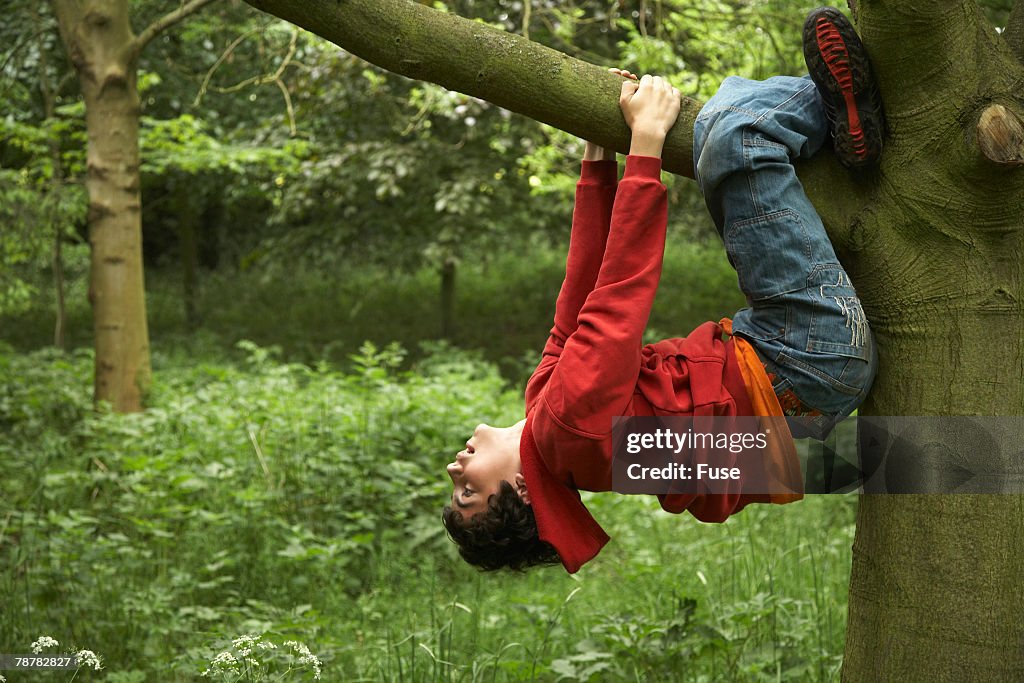 Boy Hanging on Branch
