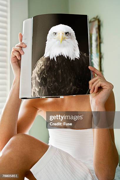woman holding picture of bald eagle - female bald eagle 個照片及圖片檔