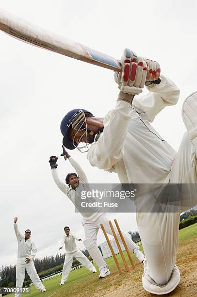 cricket game - cricket uniform stock pictures, royalty-free photos & images