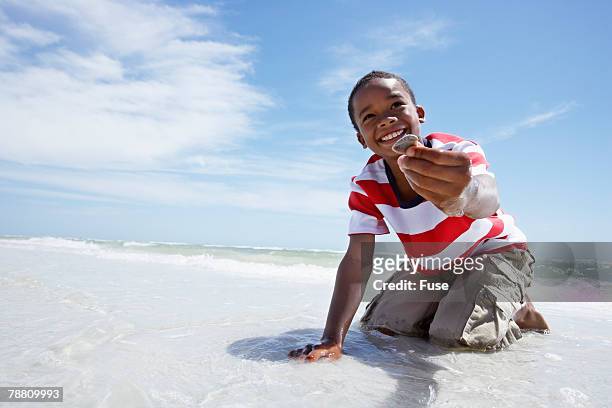 boy presenting seashell - sea shells stock pictures, royalty-free photos & images