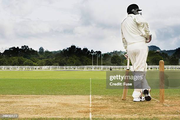 cricket player - piquet de cricket photos et images de collection