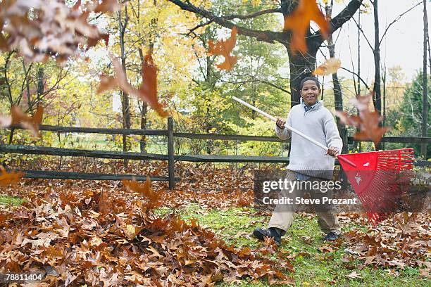 child raking leaves - steve prezant stock pictures, royalty-free photos & images