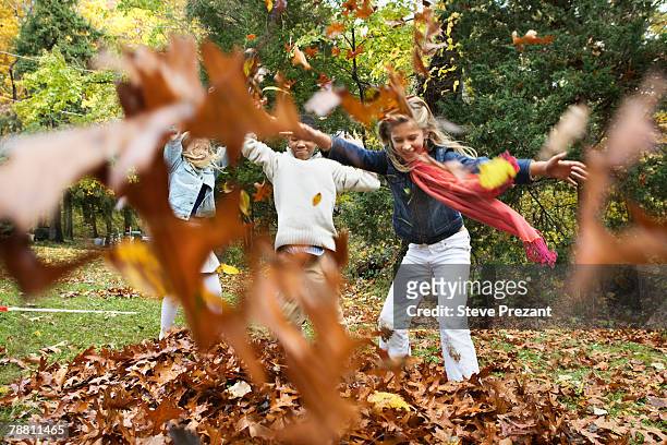 children playing in leaves - steve prezant stock pictures, royalty-free photos & images