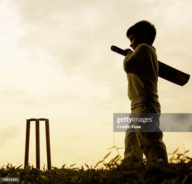 boy playing cricket at dusk - cricket bat stock pictures, royalty-free photos & images