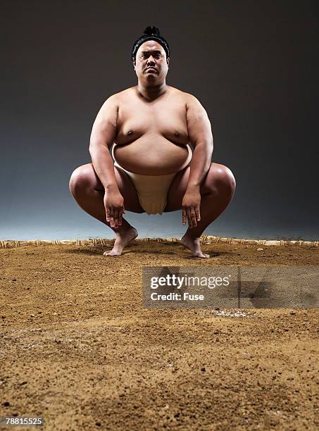 sumo wrestler in ring - sumo ストックフォトと画像