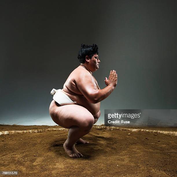 sumo wrestler in ring - combat sport stock pictures, royalty-free photos & images