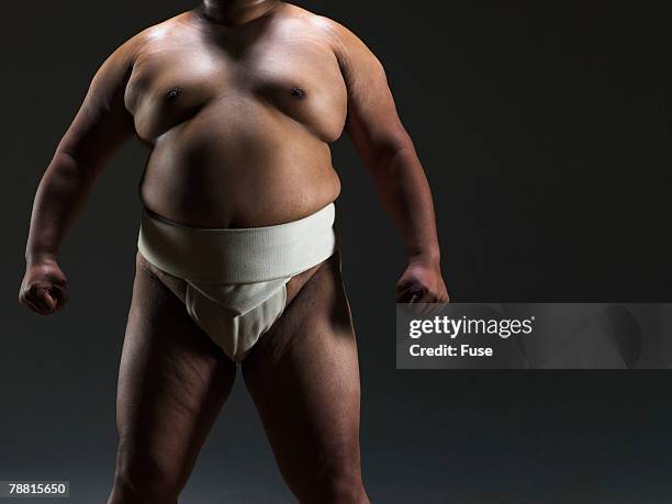 body of a sumo wrestler - sumo stock-fotos und bilder