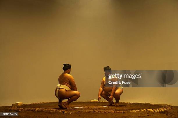 sumo wrestlers in ring - sumo stock pictures, royalty-free photos & images