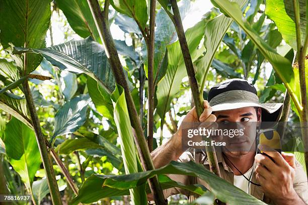 160 Confused Compass Stock Photos, High-Res Pictures, and Images ...