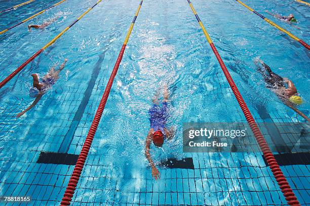 swimming competition - schwimmwettkampf stock-fotos und bilder
