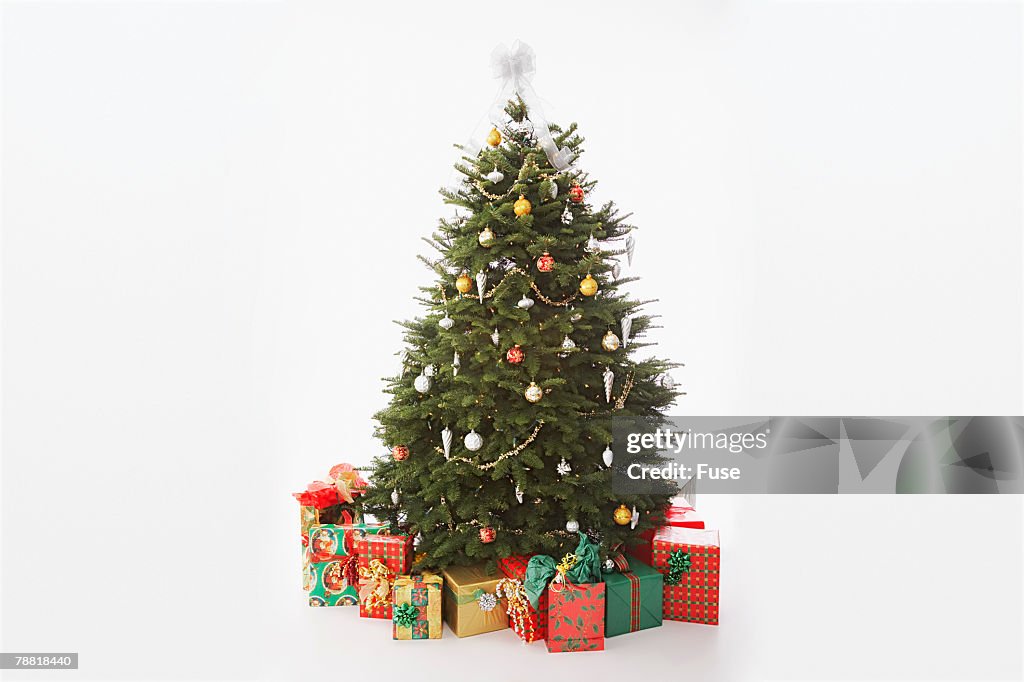 Gifts in Front of Christmas Tree