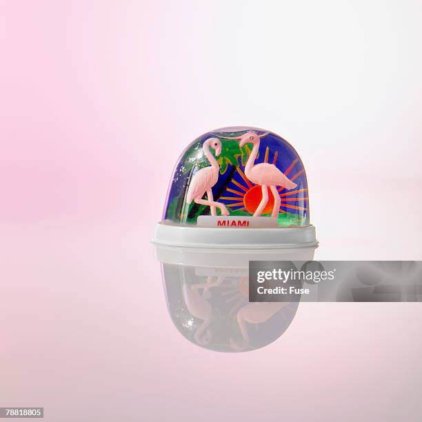 miami snowglobe - souvenir stand stock pictures, royalty-free photos & images