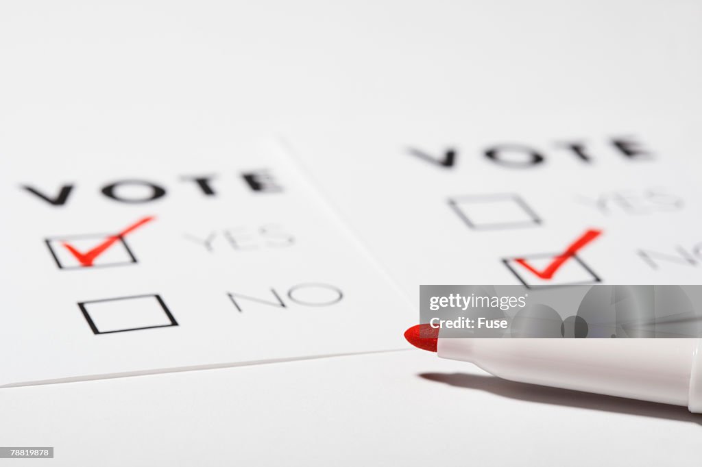 Voting Ballot and Marker Pen