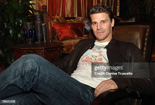 David Boreanaz