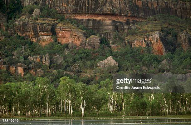 kakadu national park, northern territory, australia. - altwasser wasser stock-fotos und bilder