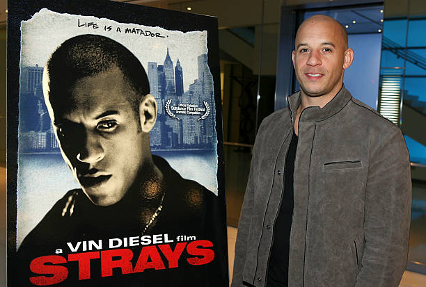 Filmmaker/actor Vin Diesel attends his release party for the film "Strays" held at Creative Artists Agency on January 10, 2008 in Los Angeles,...