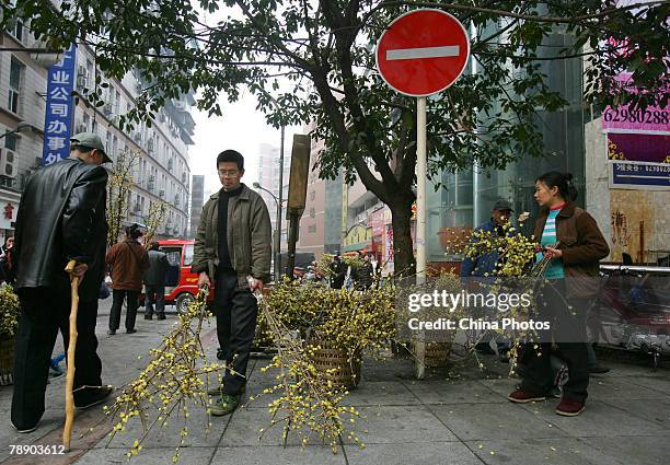 Farmers sells plum blossoms at a street on January 11, 2008 in Chongqing Municipality, China. The World Bank reports that there are 137 million poor...