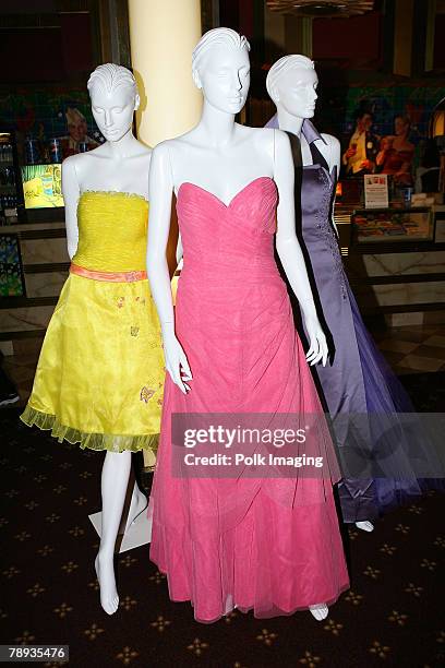 Princess Project 213 The Prom Dress Project Stock Photos, High-Res Pictures, and Images ...